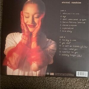 Eternal Sunshine Vinyl Record